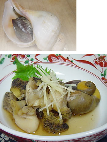 つぶ貝のうま煮